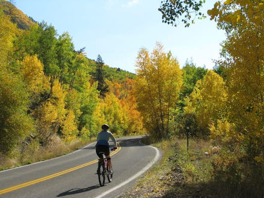 BTfall on independence pass east of aspen colorado 07201402 201917